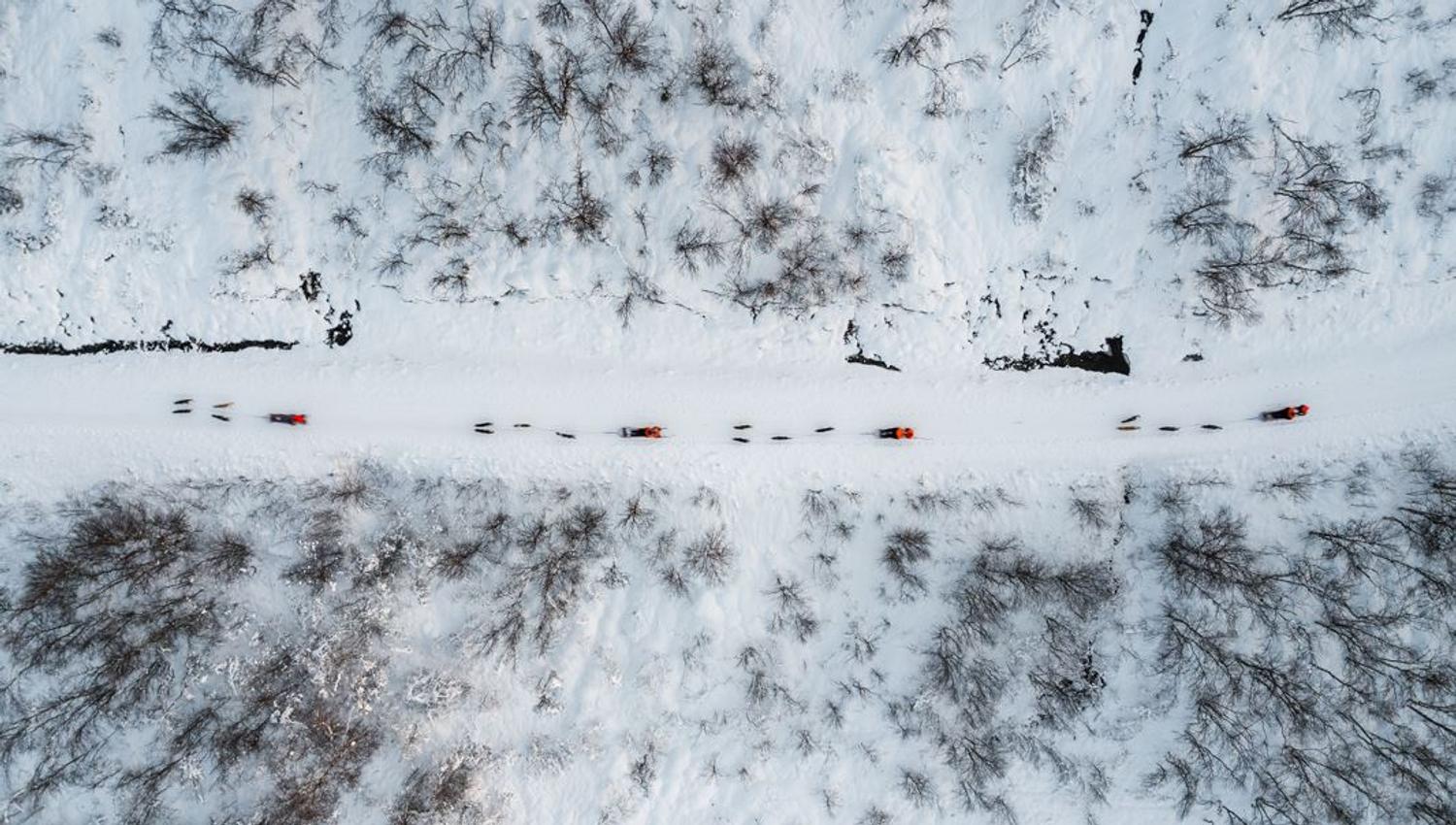 Flyfoto av hundesledene og fjellskogen
