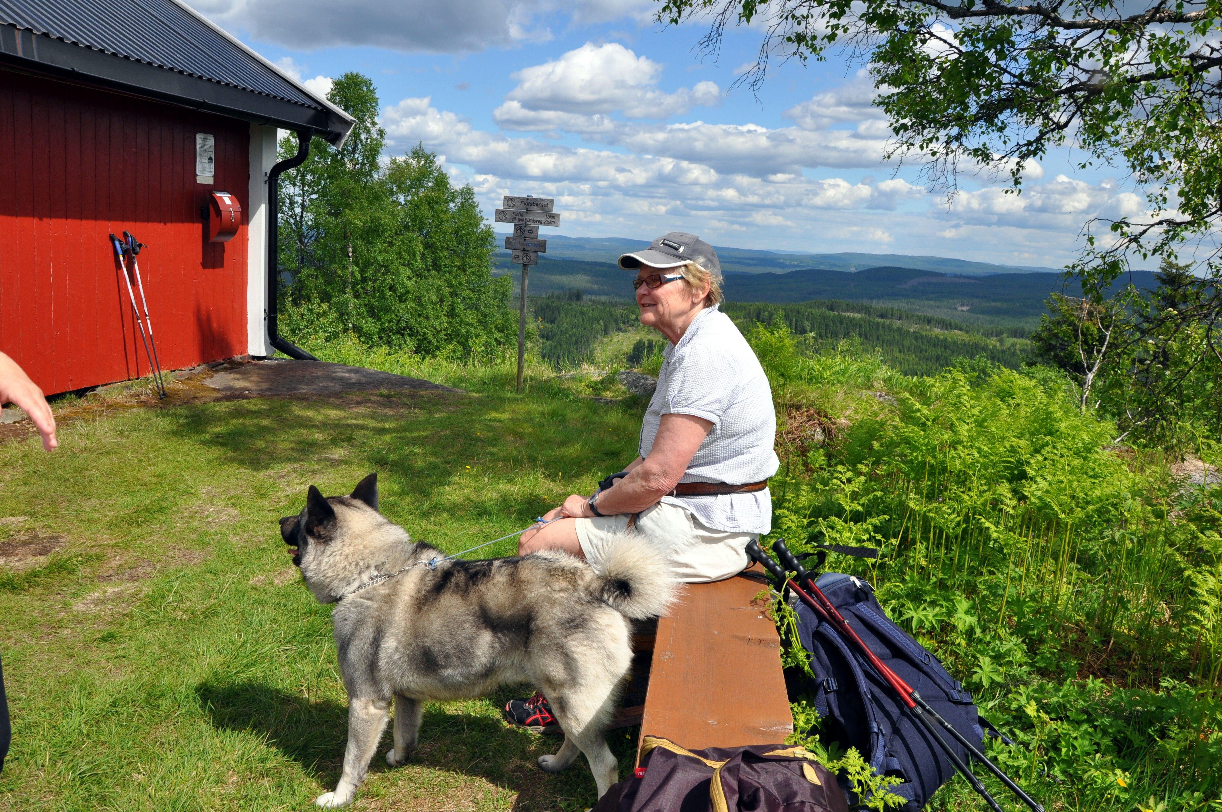 Rast ved Flotsberget, Hans Olav Osbak