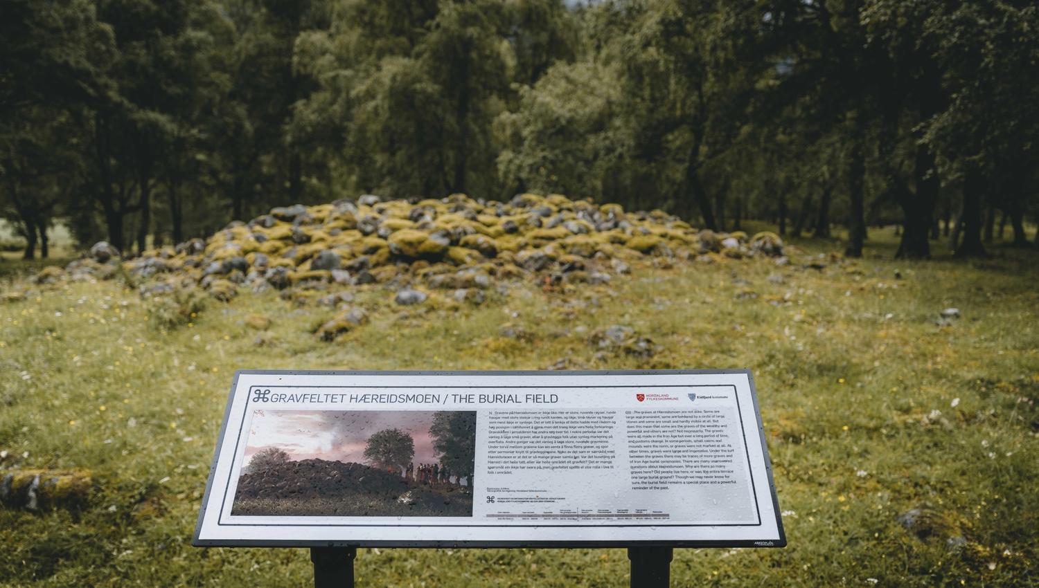 An information board in front of a viking grave.