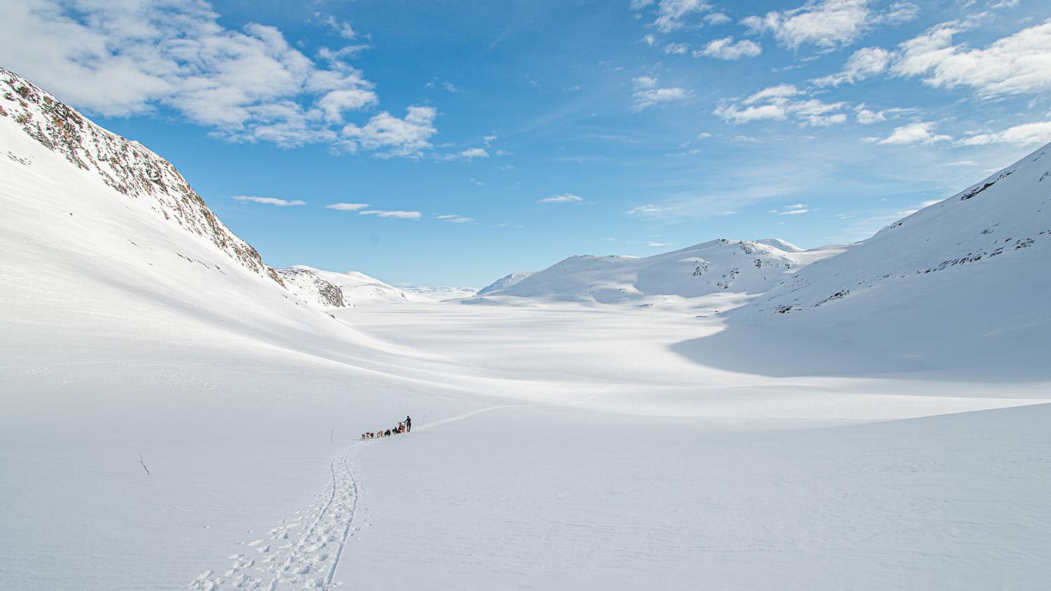 Dog sledding with Beito Husky Tours