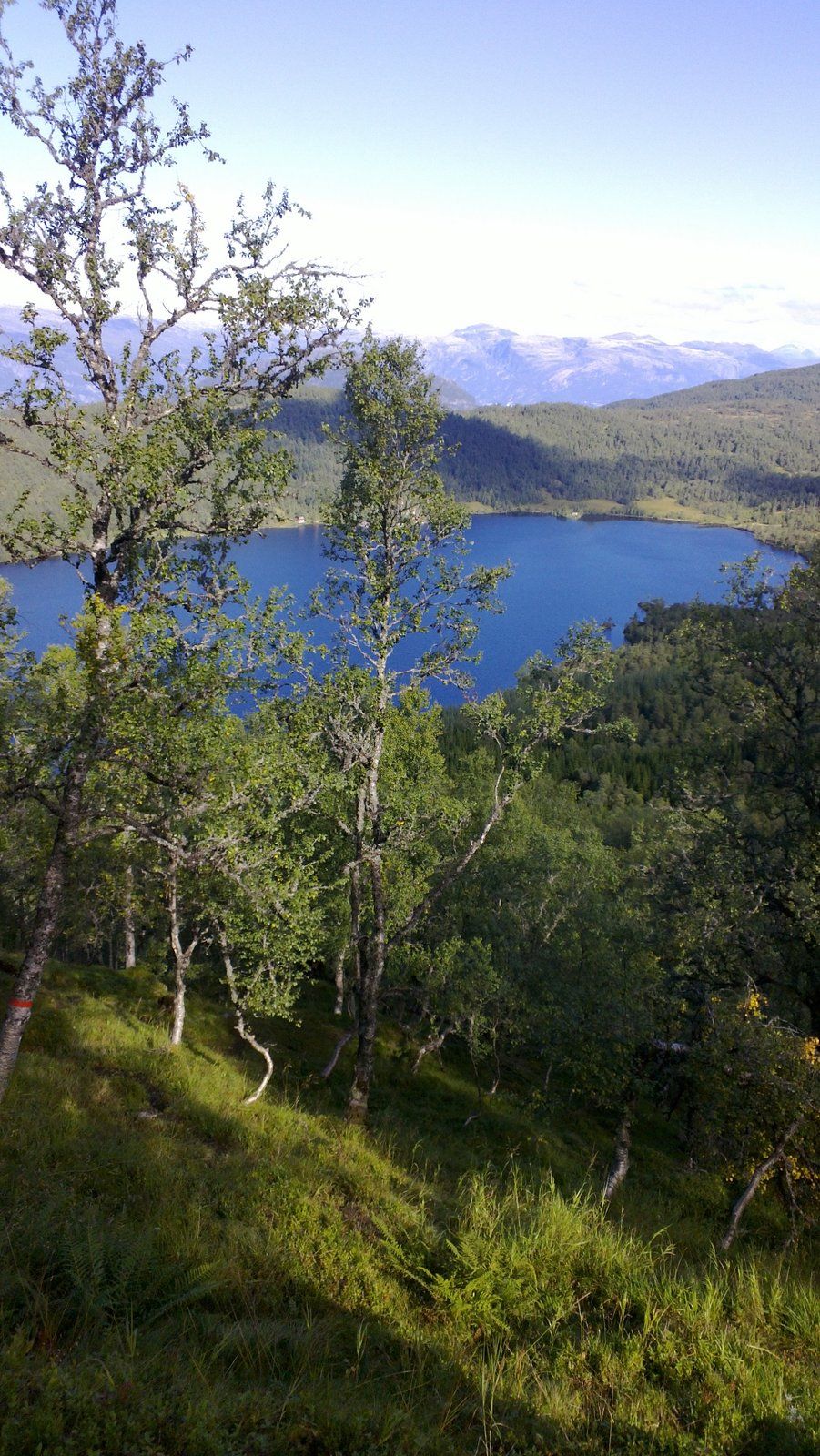 View over blue lake and forested hills near Folgefonn Farm Camping in Hardanger.