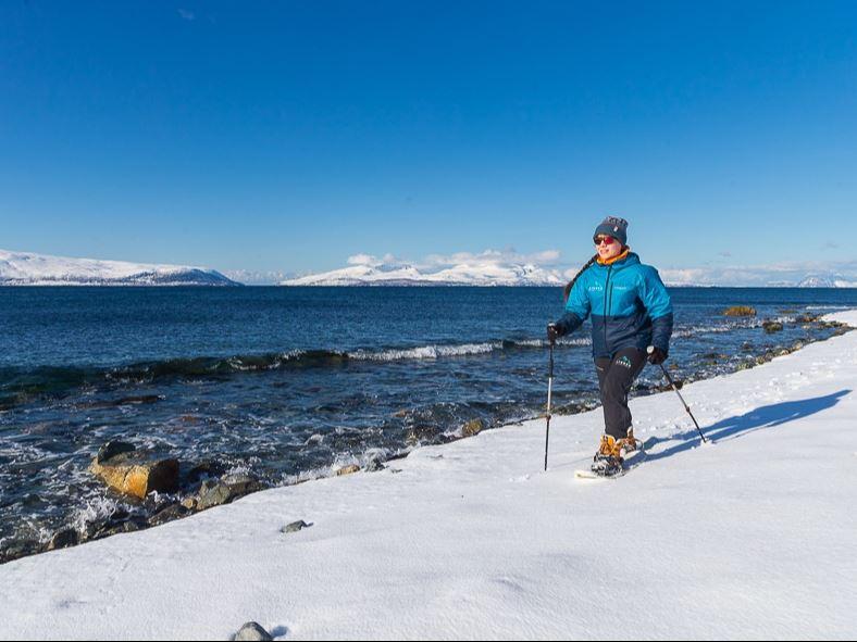 From Mountain to Sea in the Lyngen Alps - Lyngen Experience