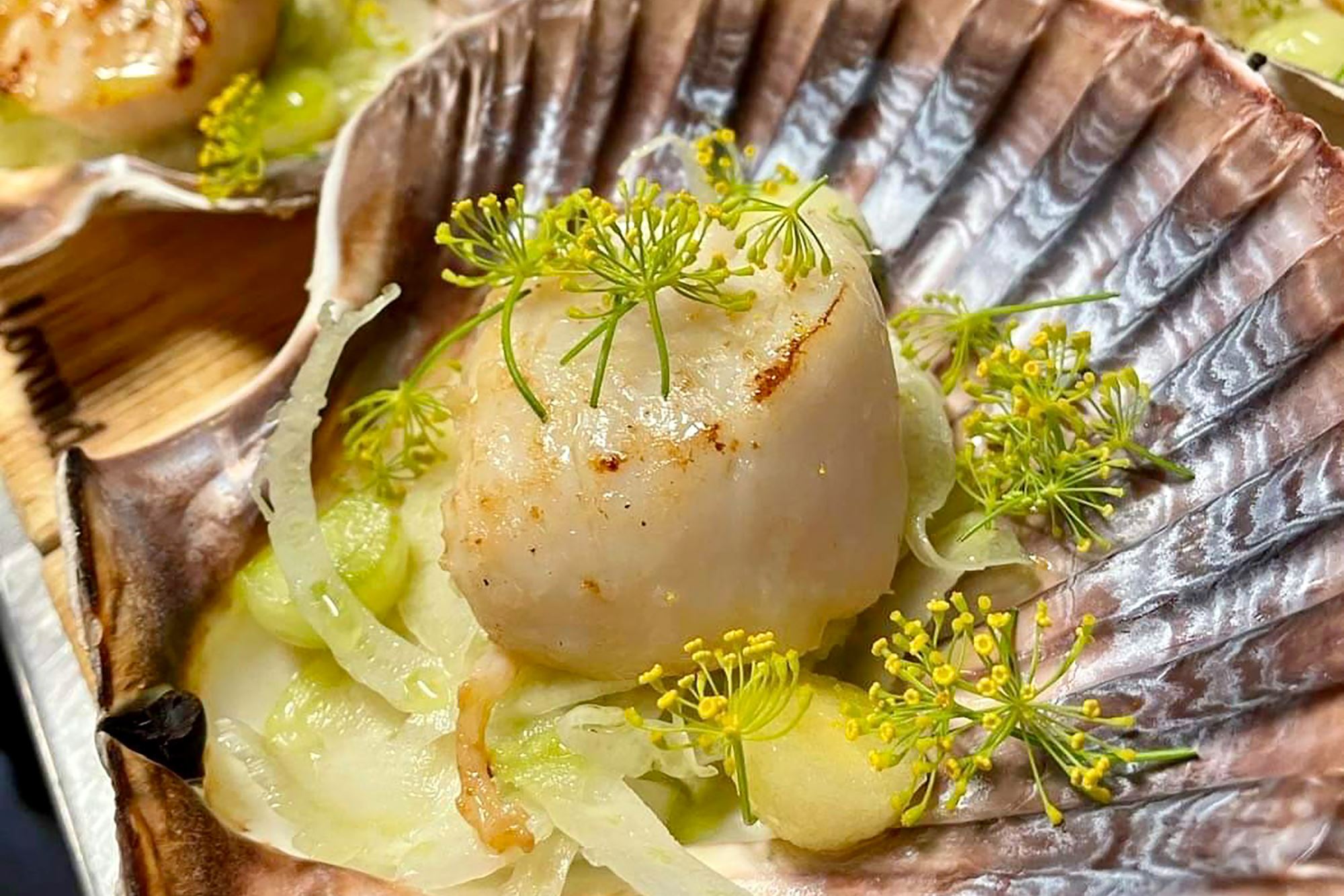 Scallops