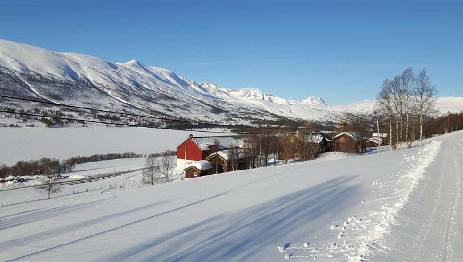 Ski i Storlidalen