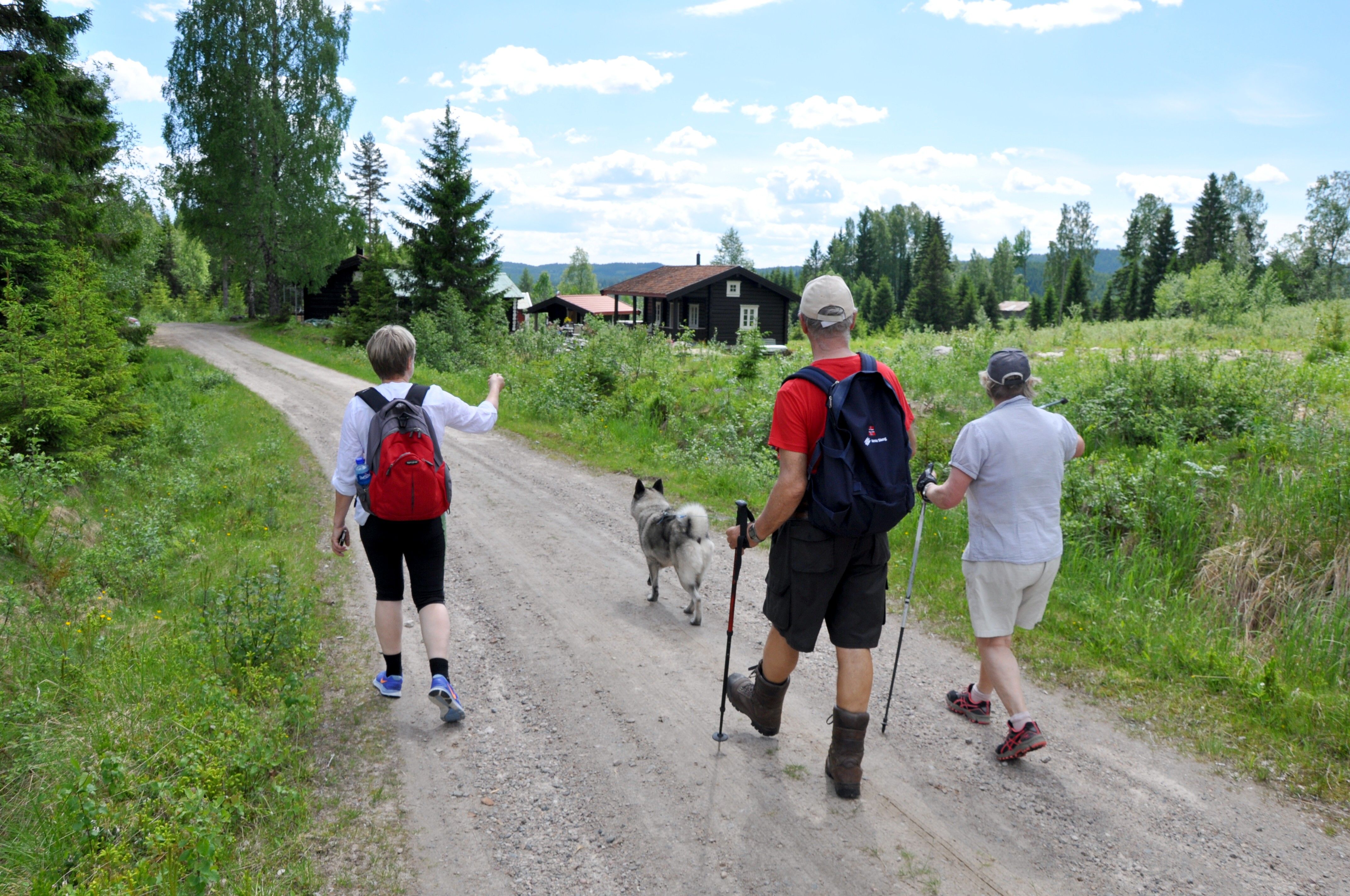 På vandring, Hans Olav Osbak