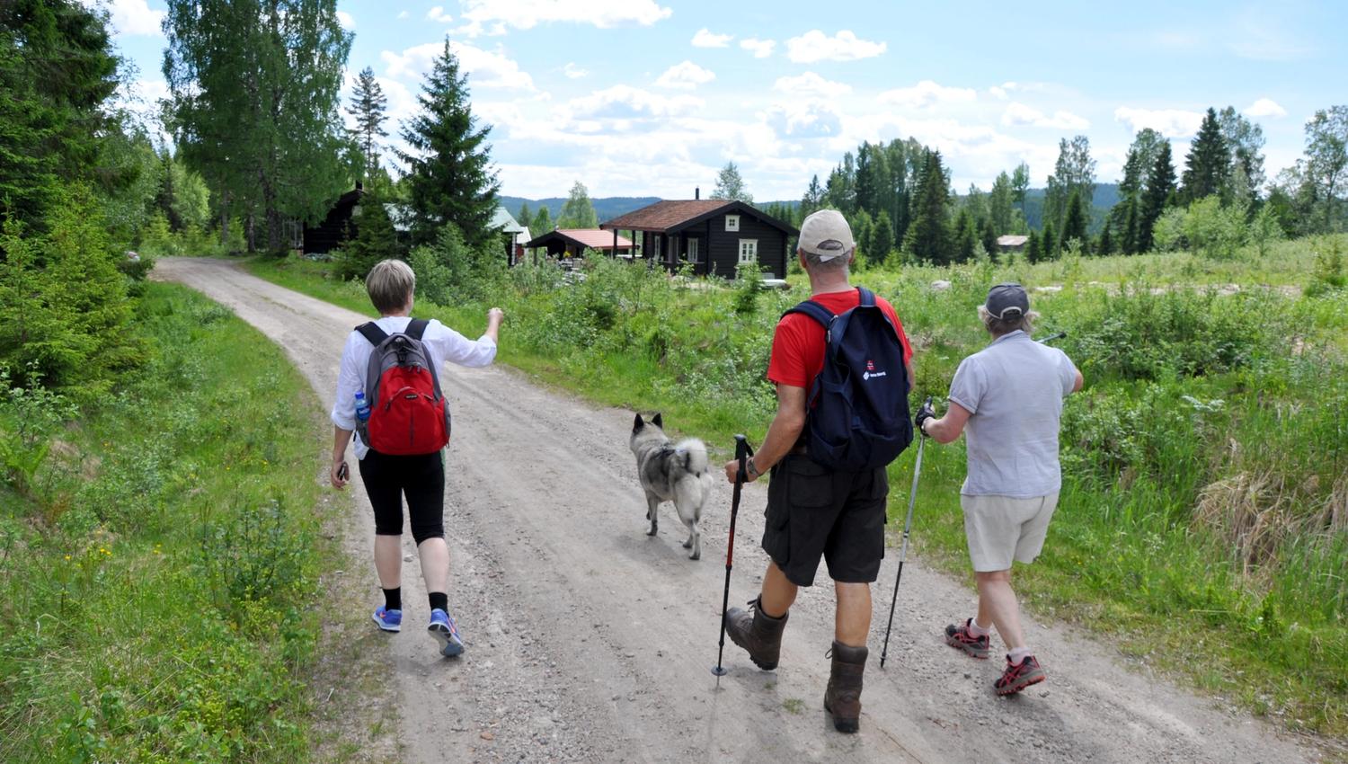 På vandring, Hans Olav Osbak