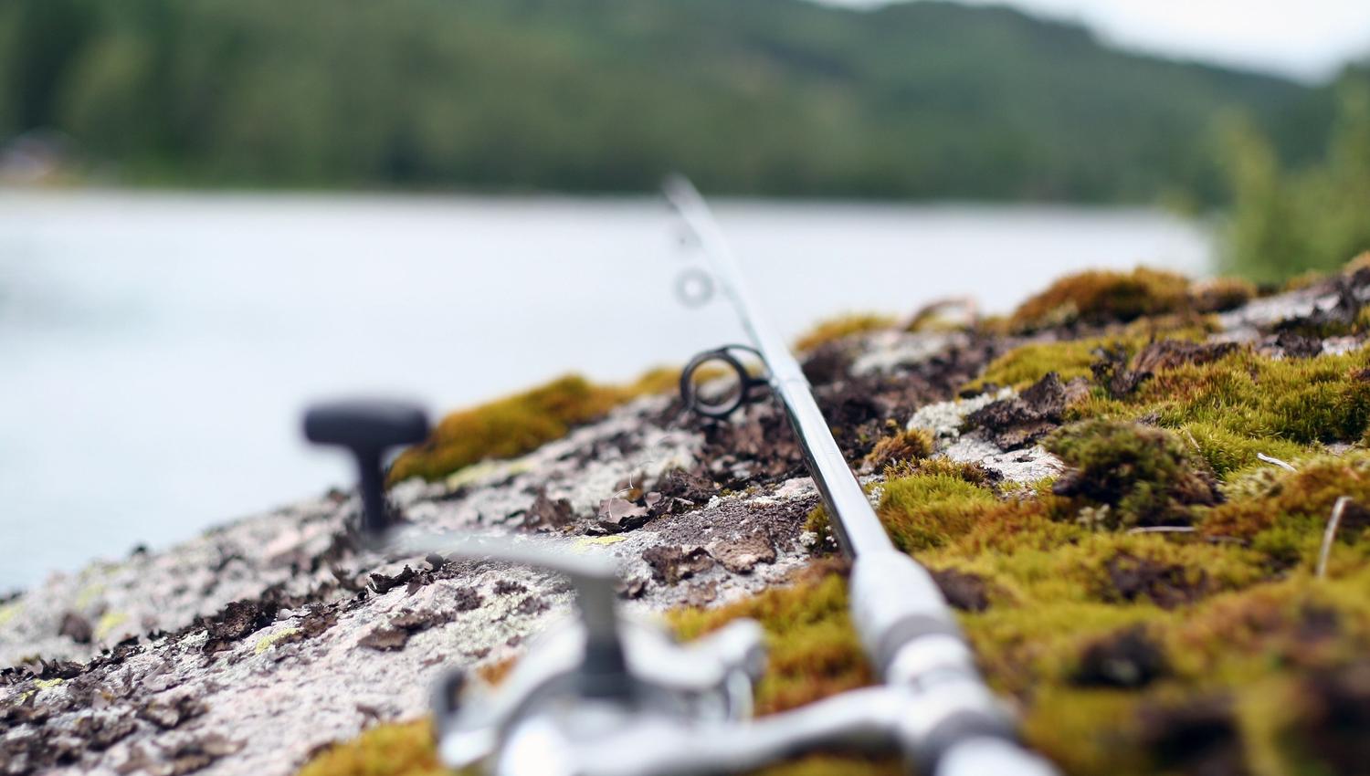 Lyngdal-fishing-Kleivvannet-Norway