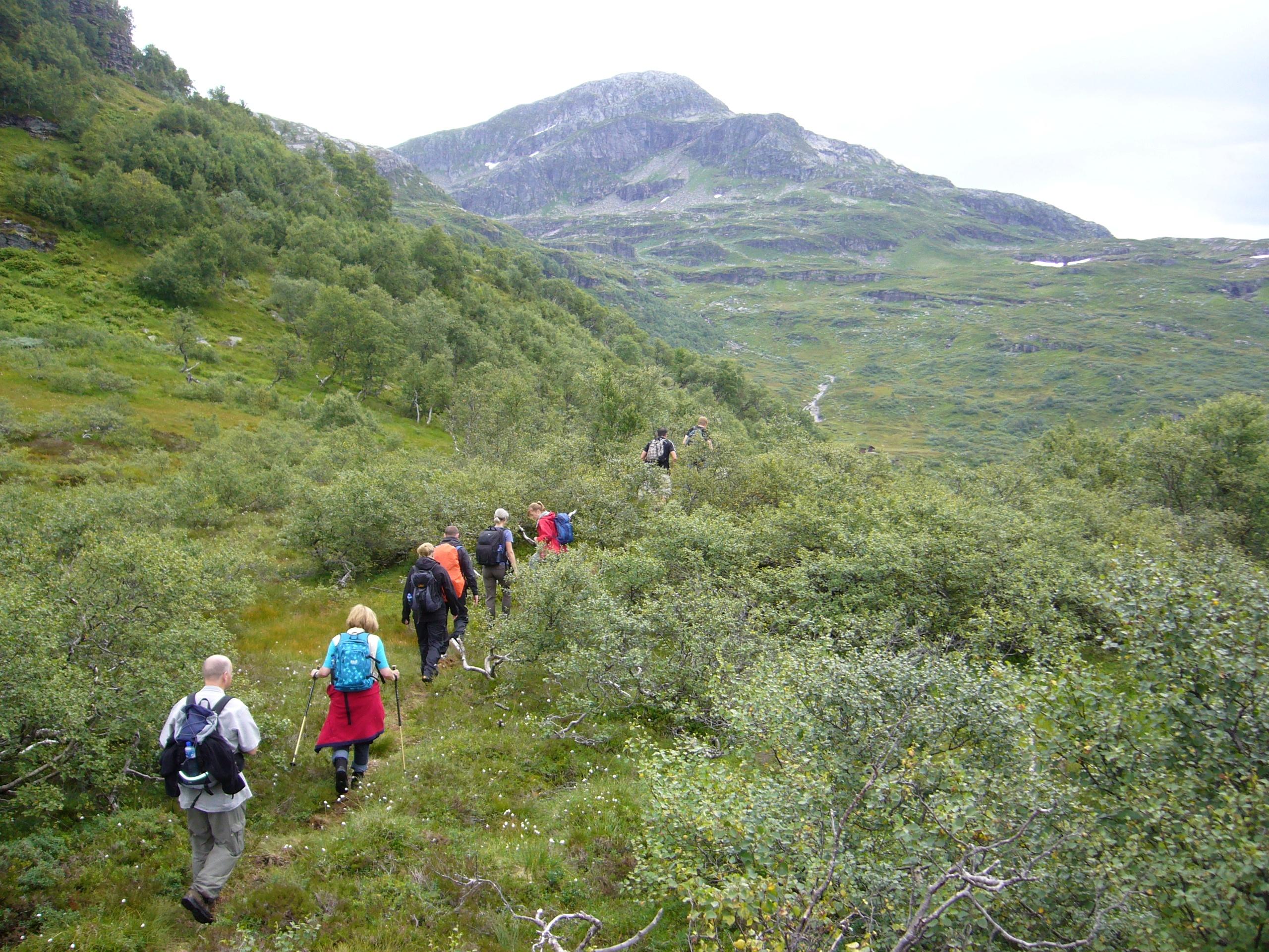 Maldal
