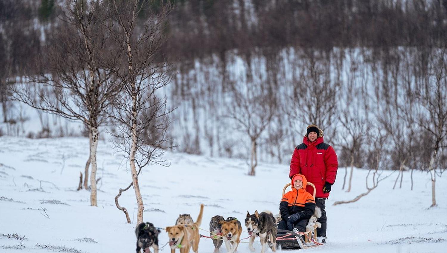 Two guests drive the dog sled