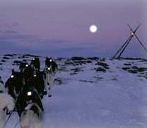 Husky safary on the Finnmarksvidda plateau with Engholm Husky