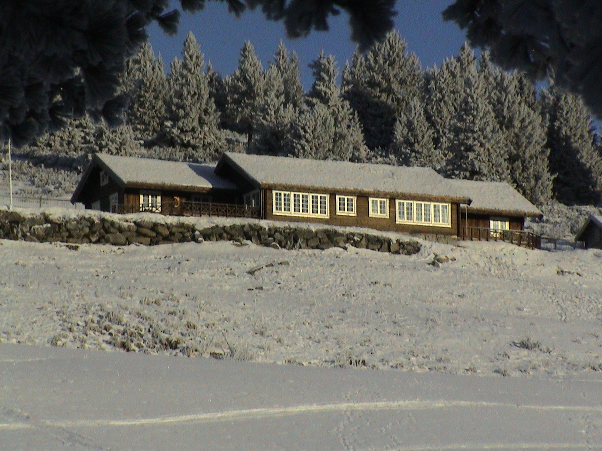 Løstegård Hytter