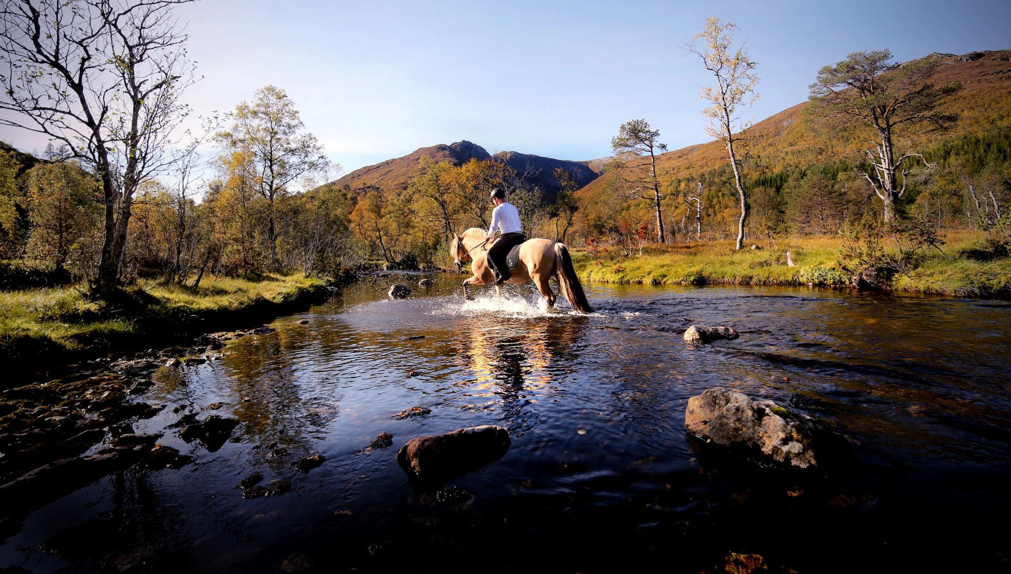 Riding classes | Norsk Fjordhestsenter