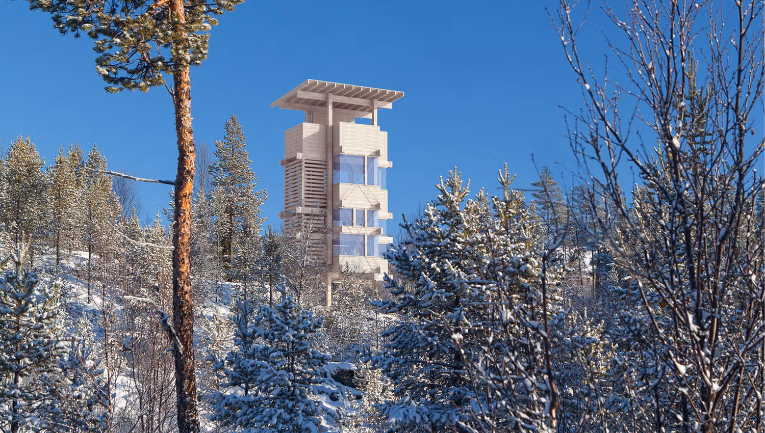 The moose observation tower