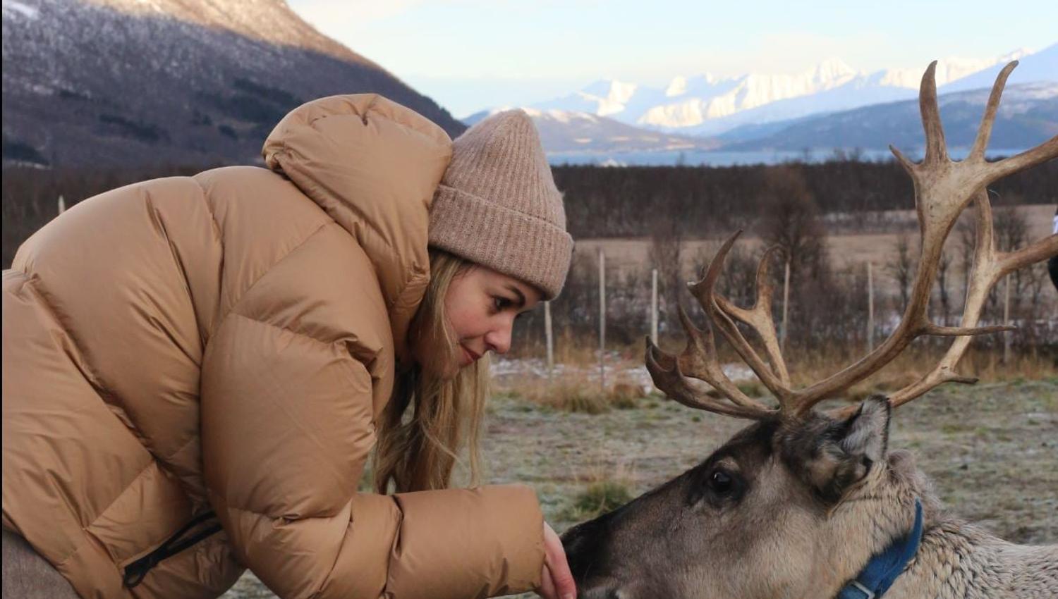 Guest meeting a reindeer during a reindeer feeding and Sámi cultural experience with Tromsø Lapland near Tromsø