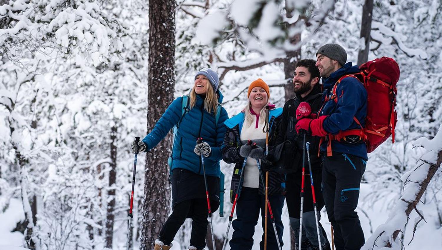 Trugetur i Raundalen