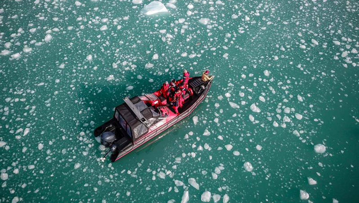 Guests on board a boat sailing in icy waters