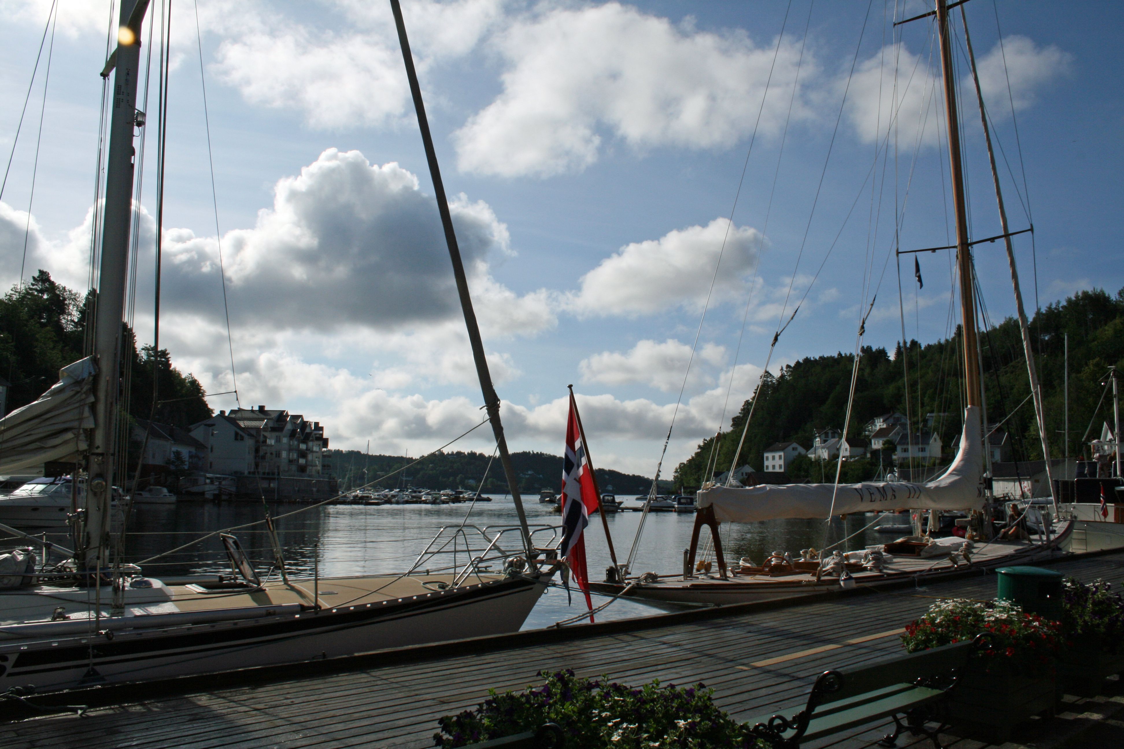 seilbåter i gjestehavna i Tvedestrand