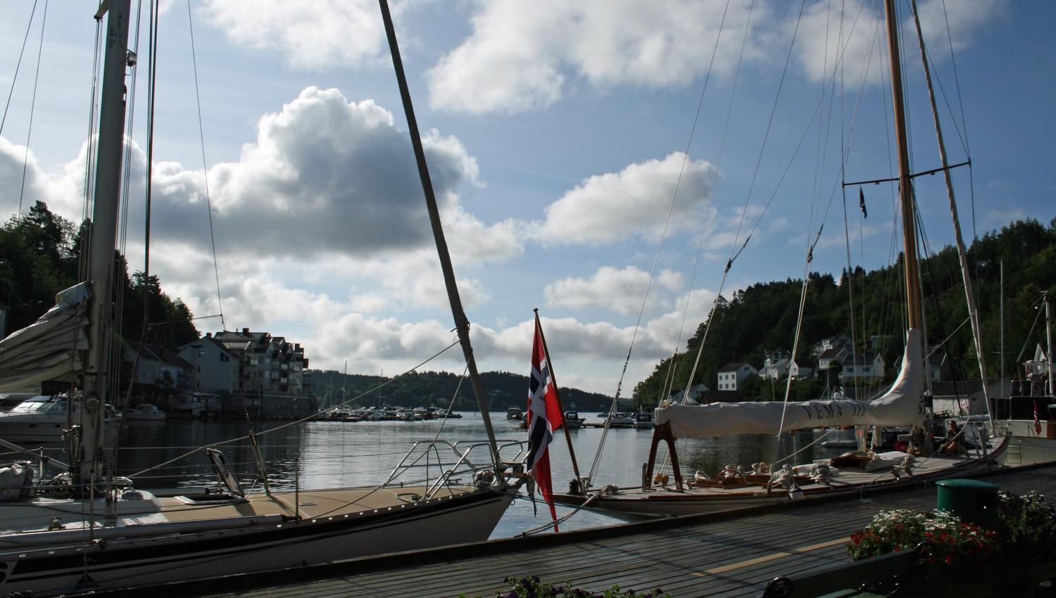 seilbåter i gjestehavna i Tvedestrand