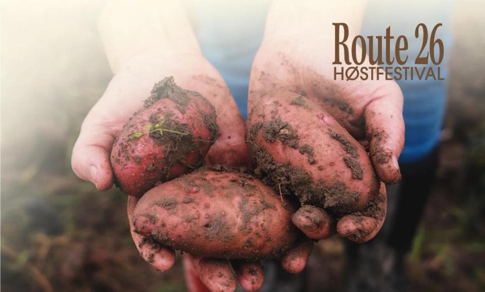 Potato preparedness - a proper nerd course on potatoes