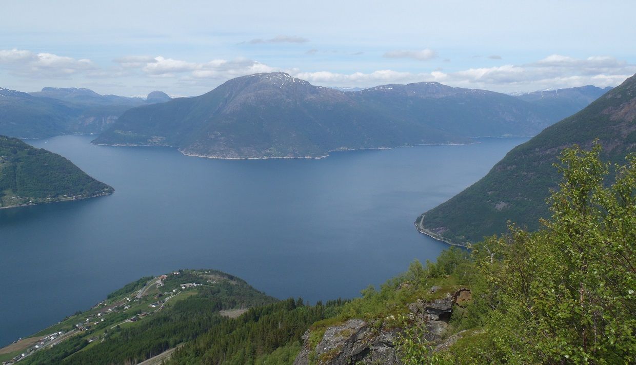 Utsikt over Hardangerfjorden frå Dronningstien med grøne skogar og fjell i bakgrunnen.