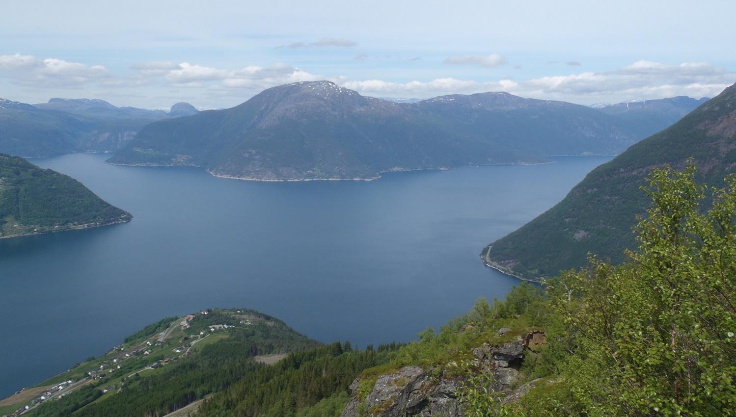 Utsikt over Hardangerfjorden frå Dronningstien med grøne skogar og fjell i bakgrunnen.