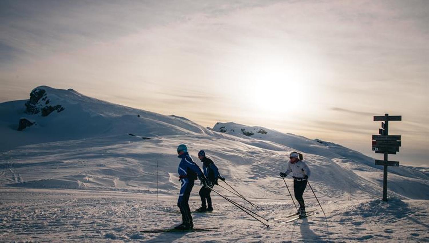 Cross-country skiing at Lifjell