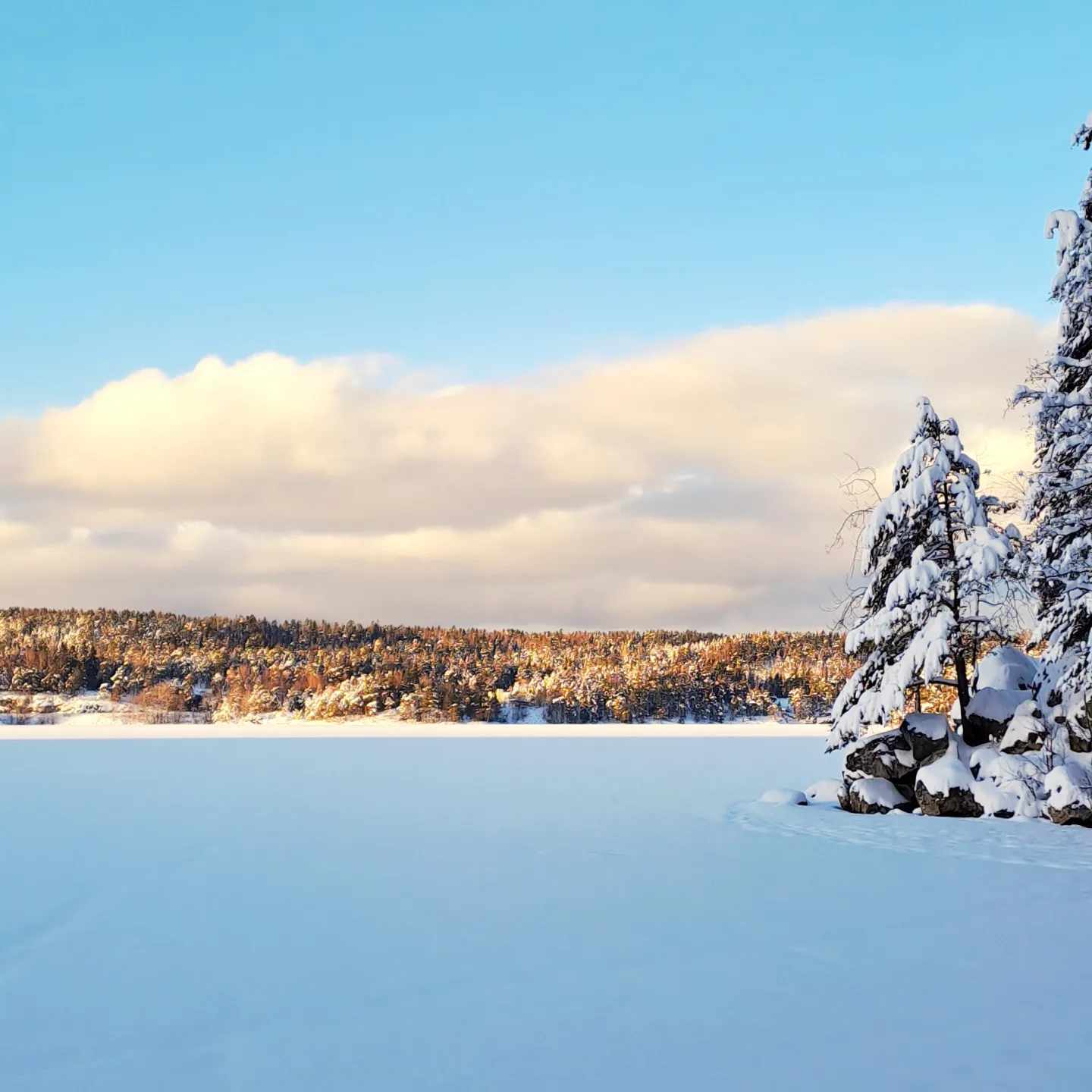 Frozen lake