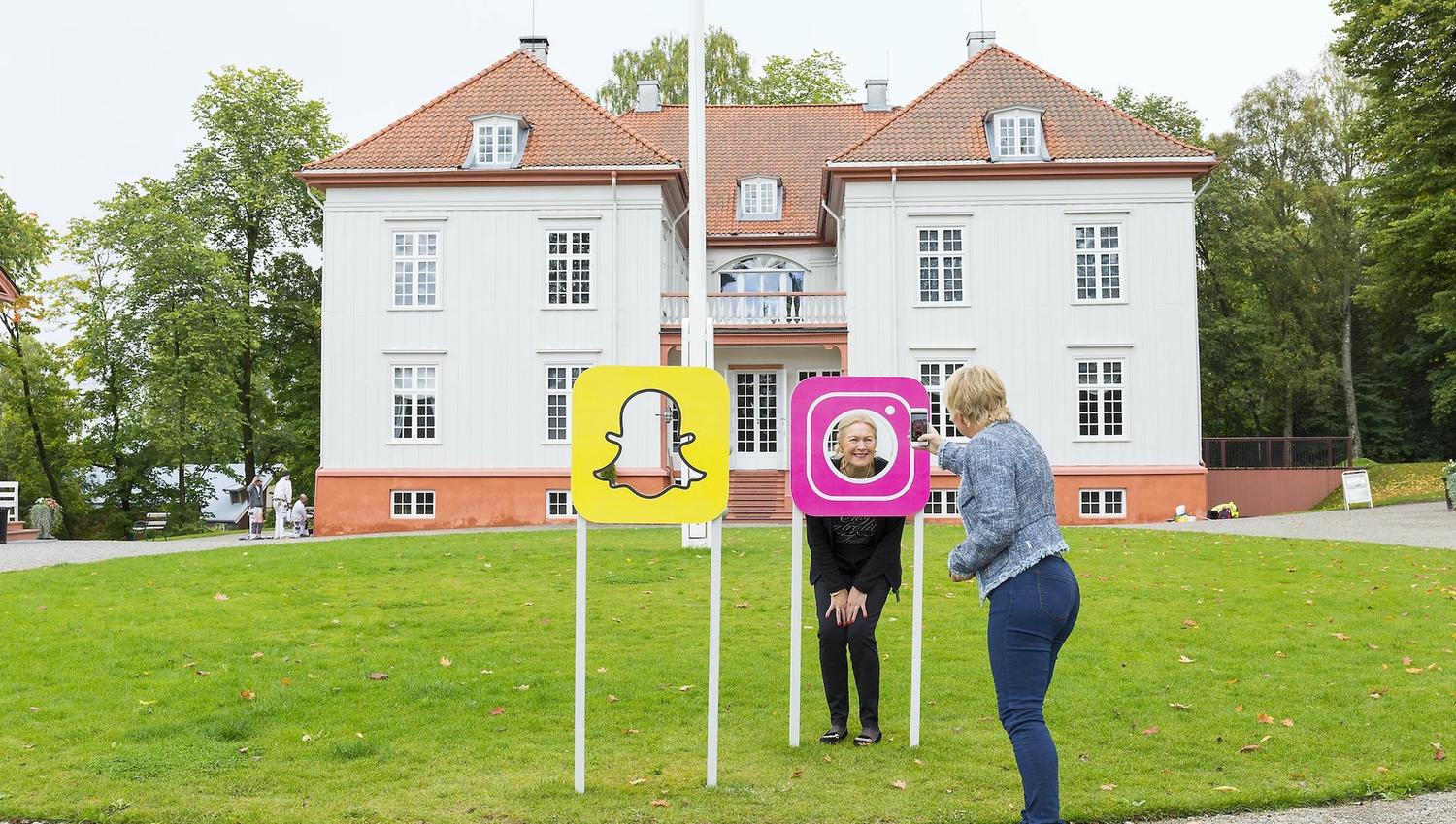 Eidsvoll 1814 instagram / snap icons