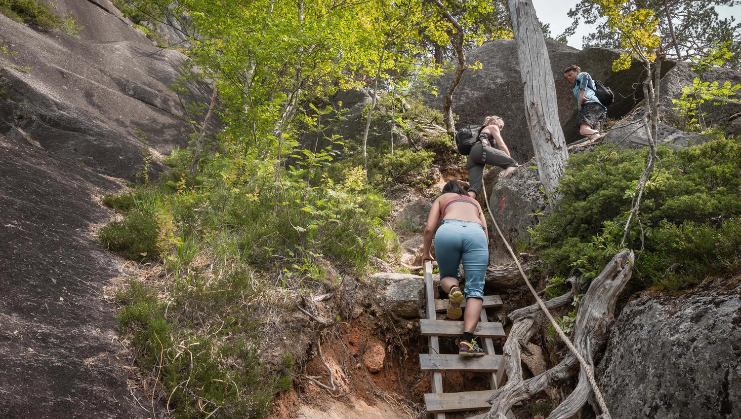 Three hikers climbing up the ladders.