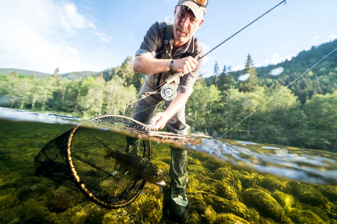 Fiske i Tokkeåi