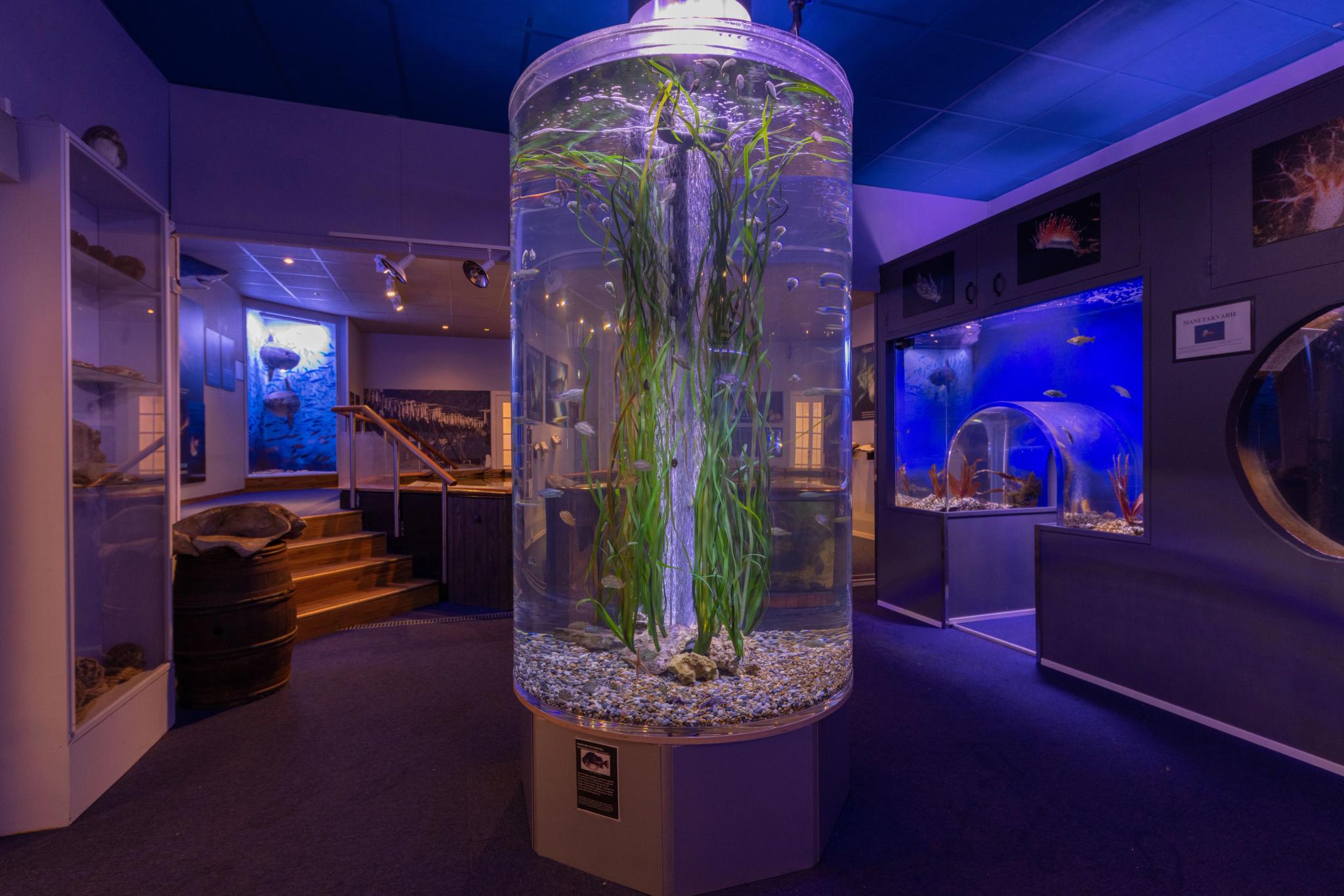 Drøbak akvarium