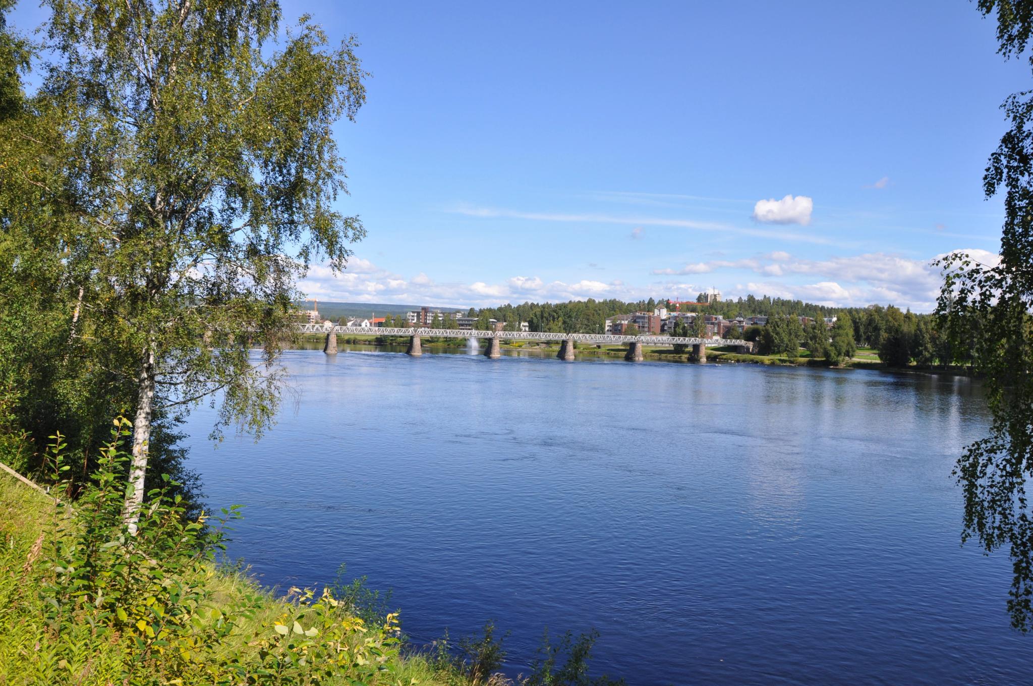 Fiske i Glomma