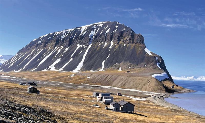 Topptur fra kysten til Fuglefjella - Svalbard Wildlife Expeditions