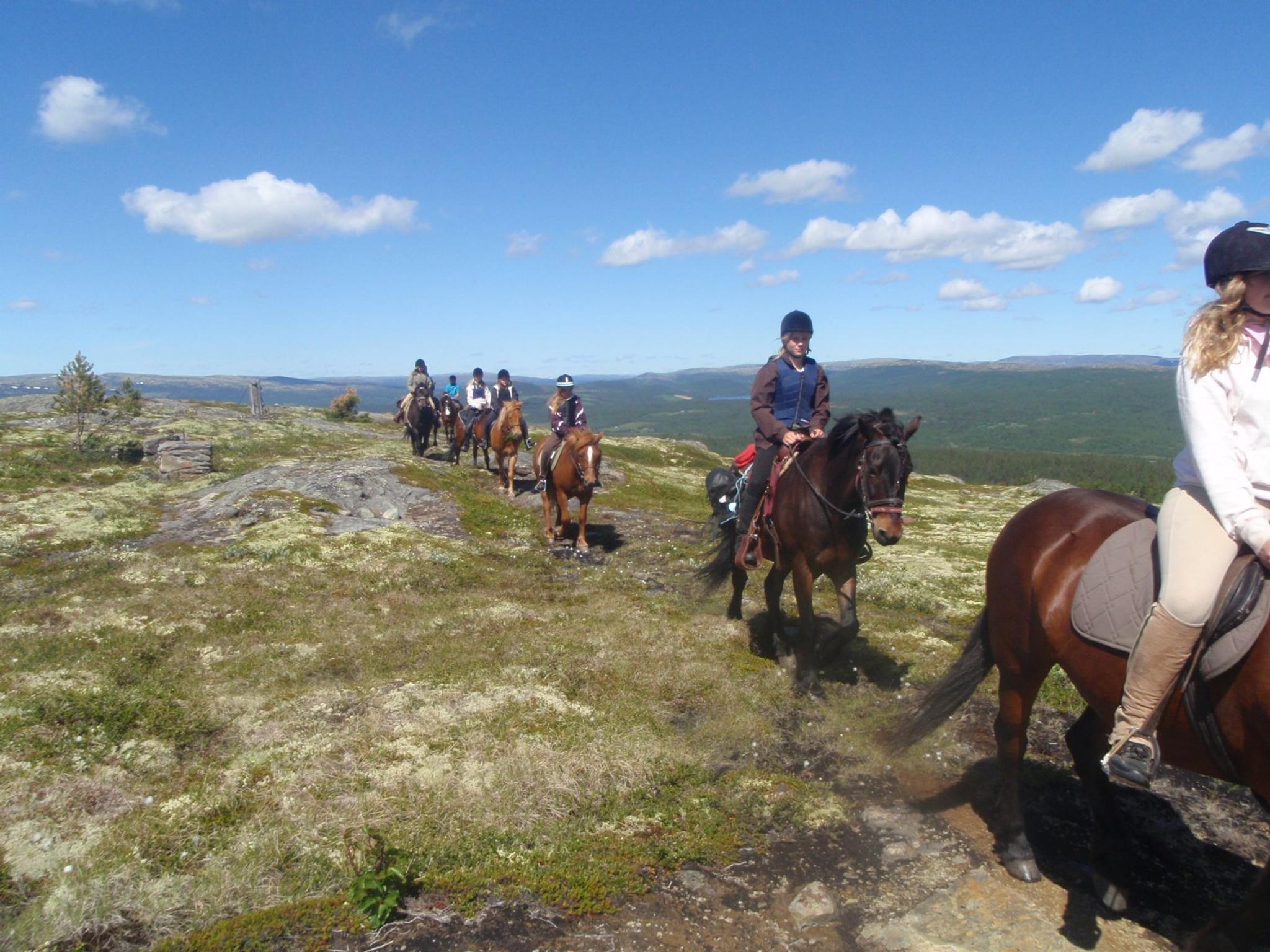 Riding - Savalen Hestesenter