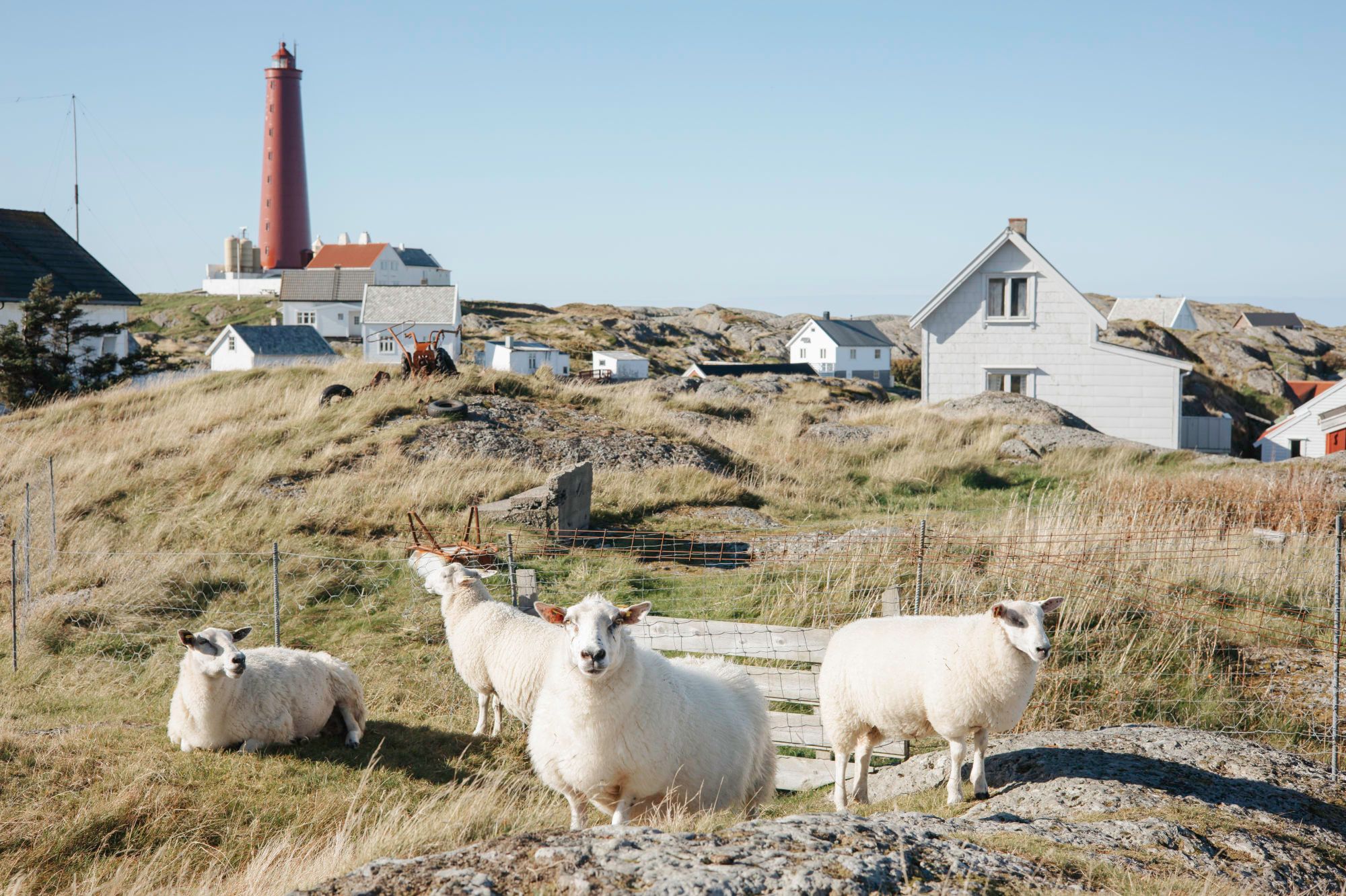 On Utvær, you might encounter this crew