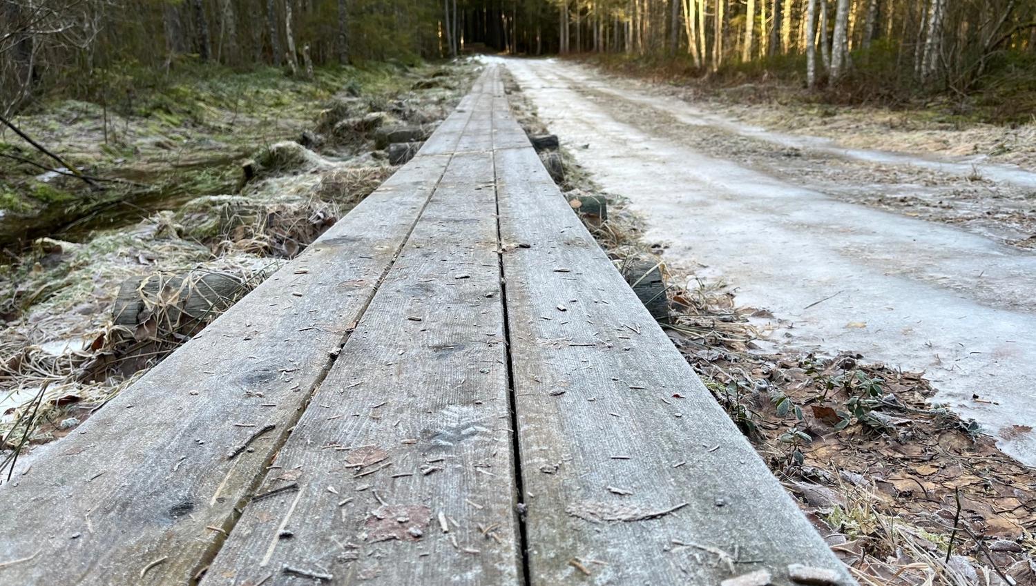 Det er mange klopper - planker vi kan gå på, som er lagt ut i de våteste områdene.