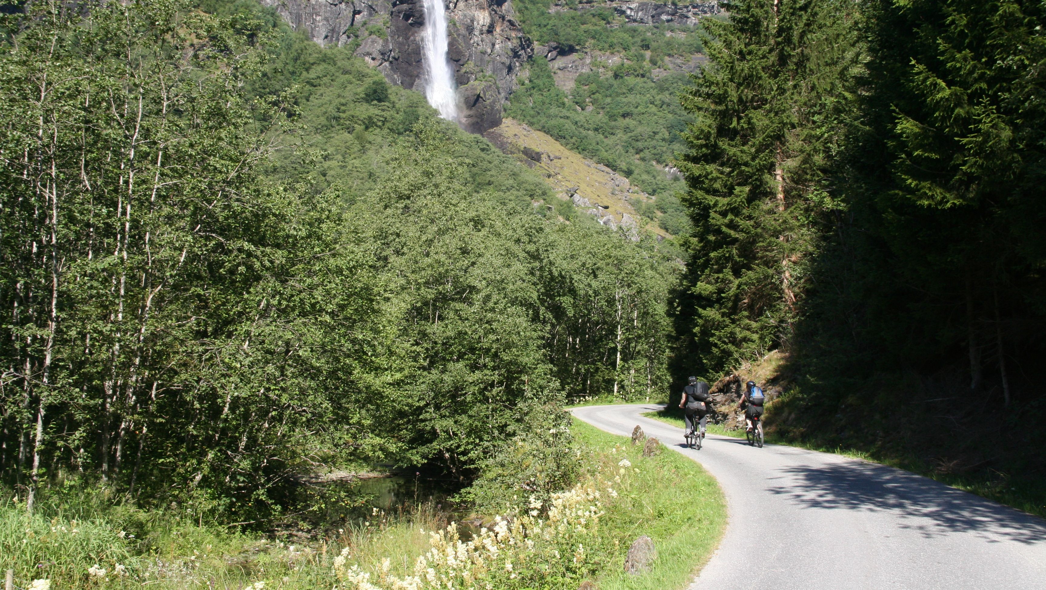 Cycling down to Flåm
