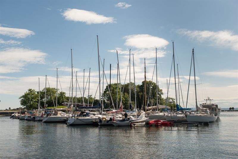 Boats by the marina.