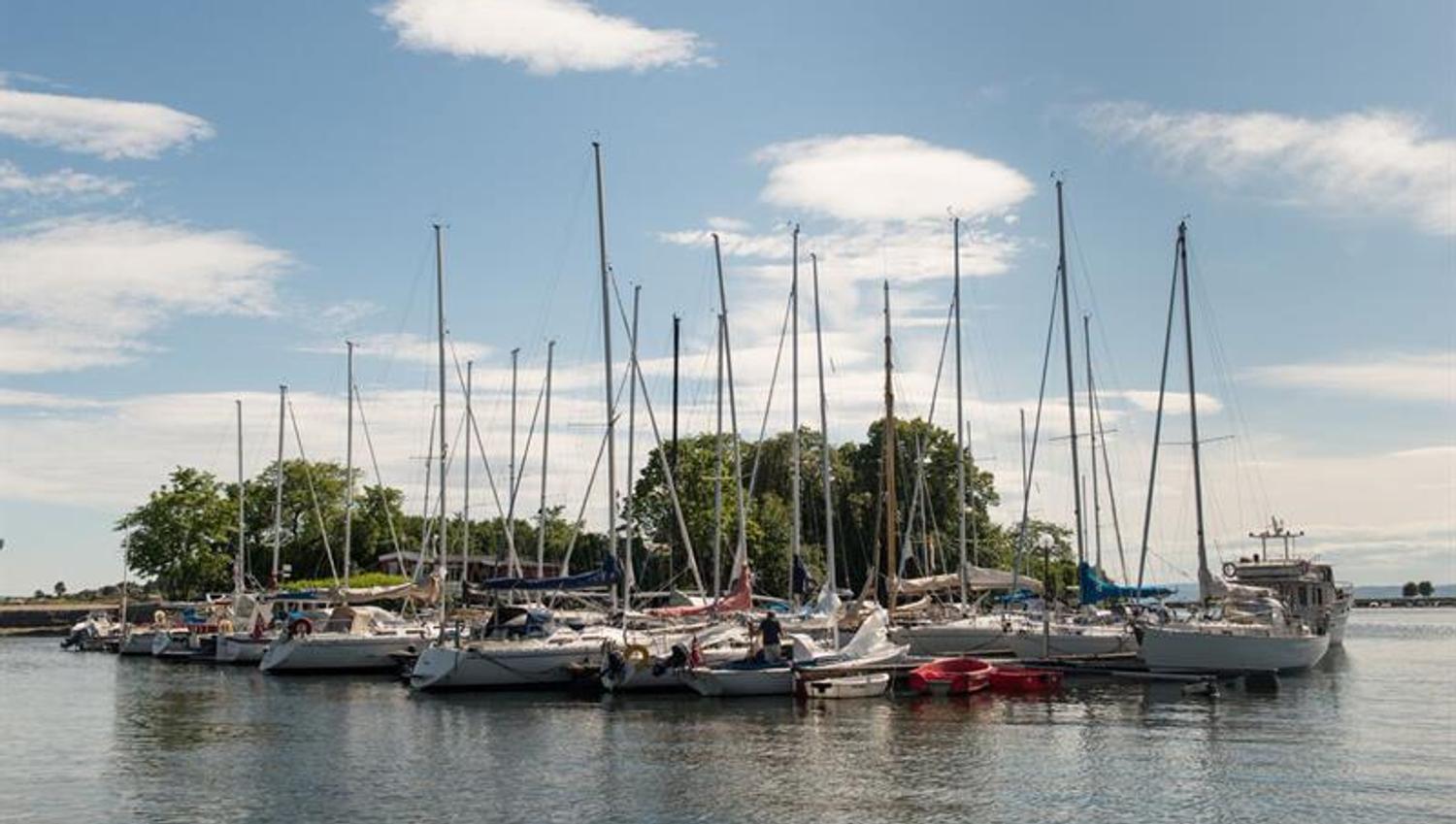 Boats by the marina.