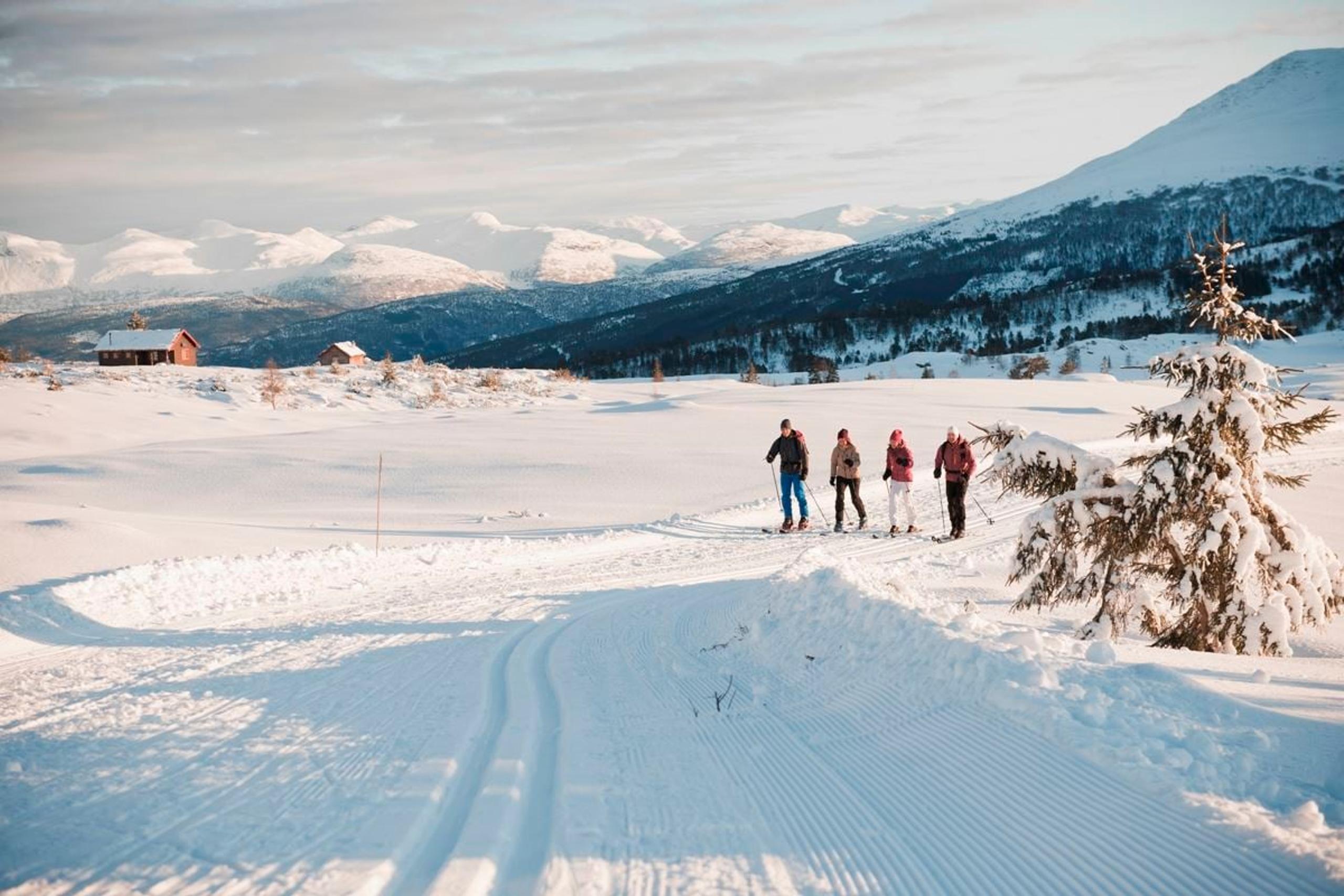 Cross country skiing | Gloppen