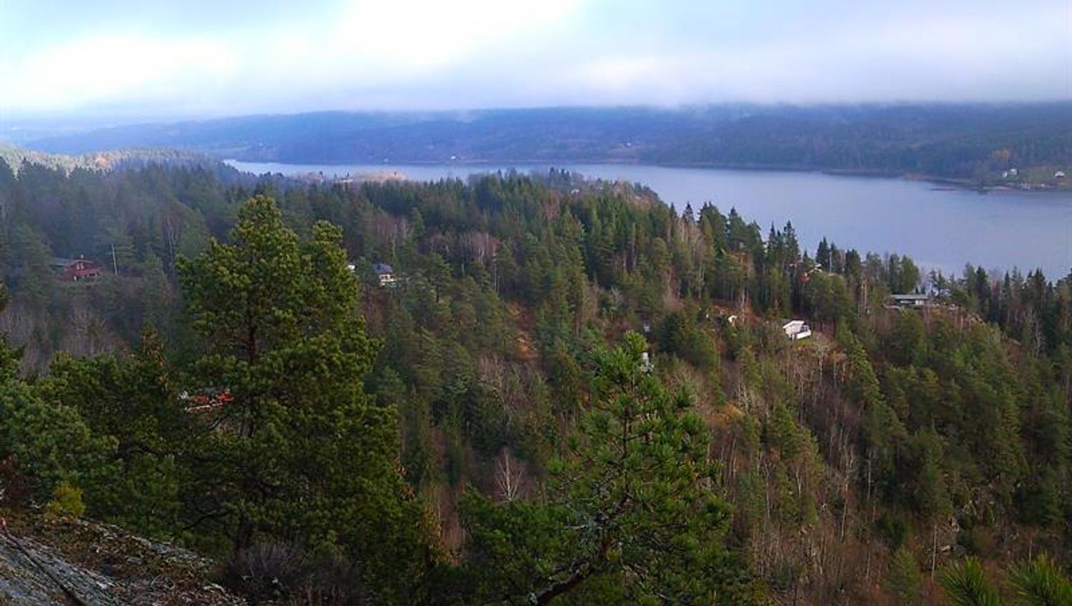dronebilde over området