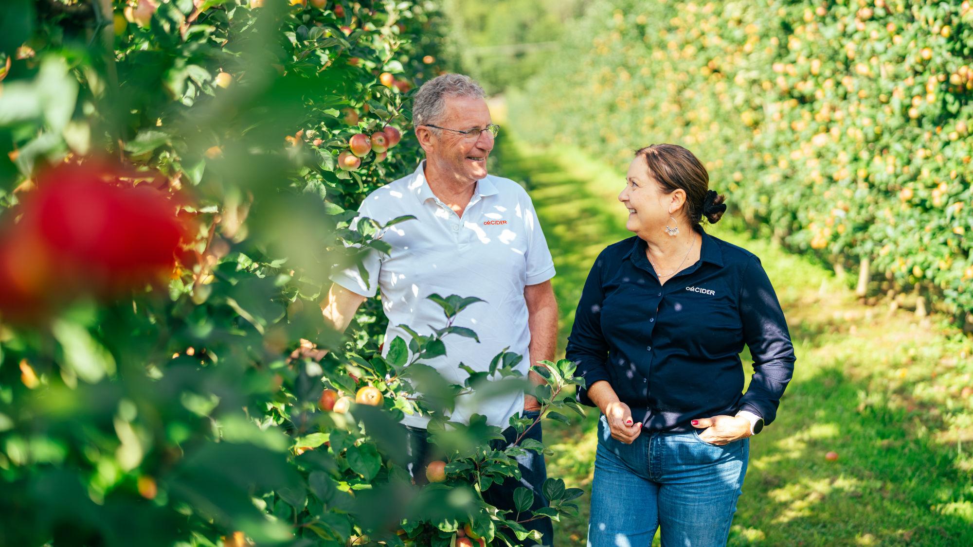 Cider tastings at OmCider in Hjelmeland