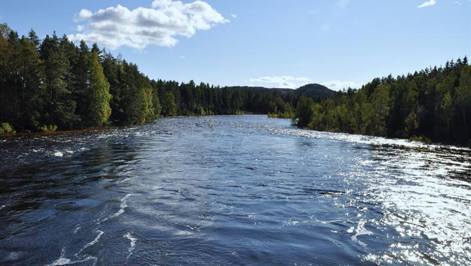 Tovdalselva at Teinefossen