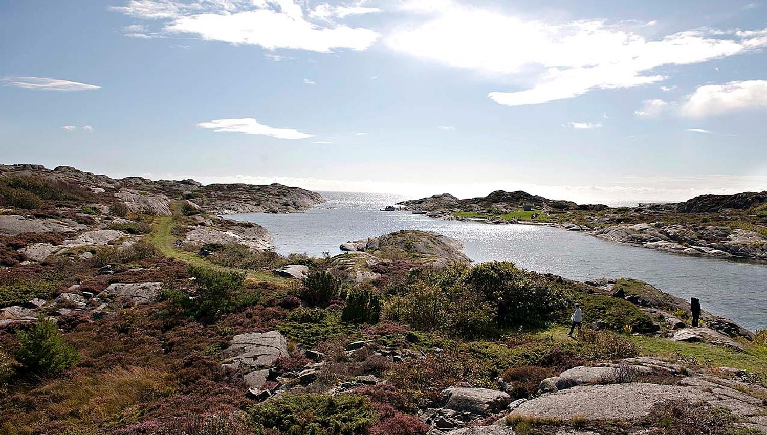 Randøya