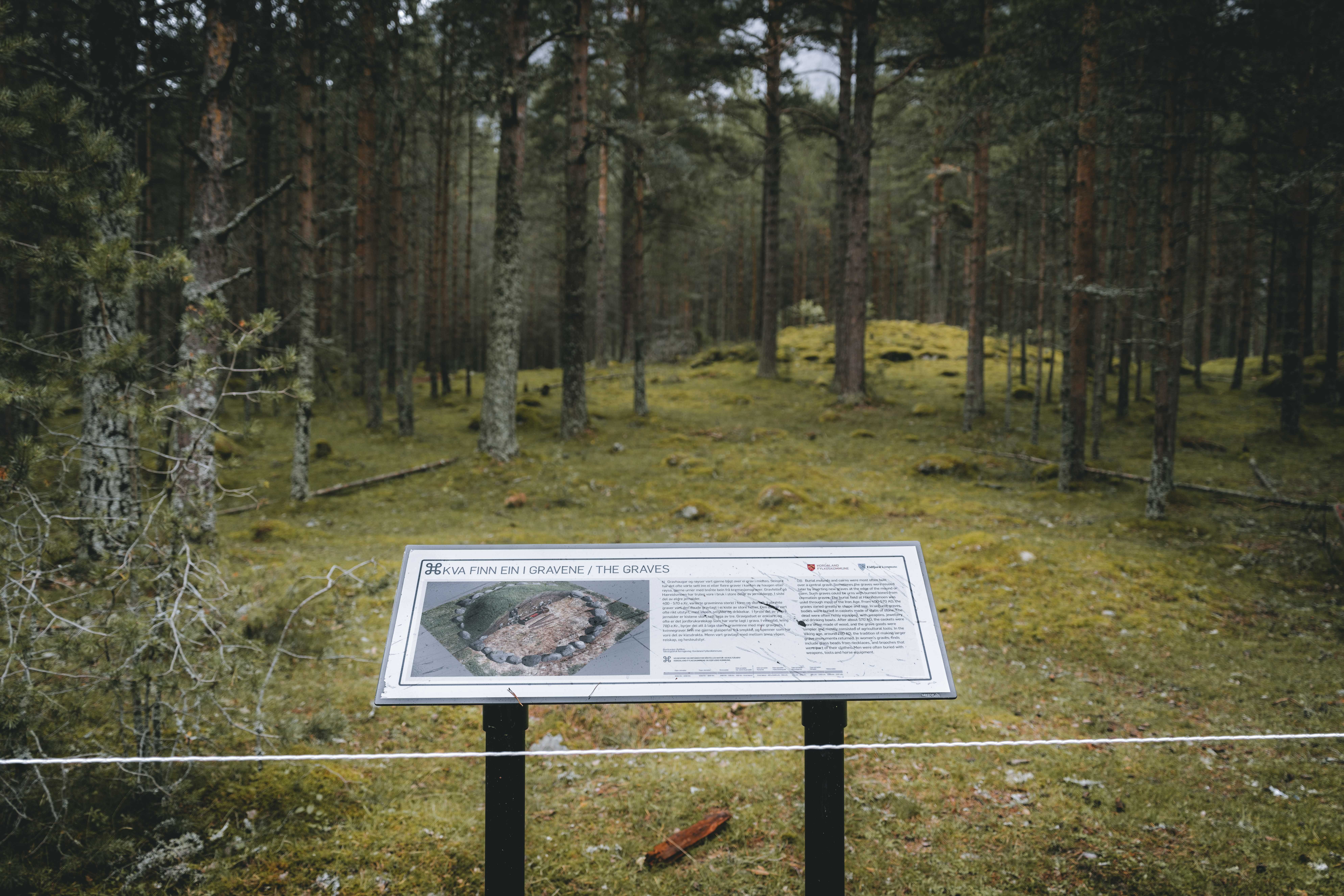 An information board in front of a viking grave.