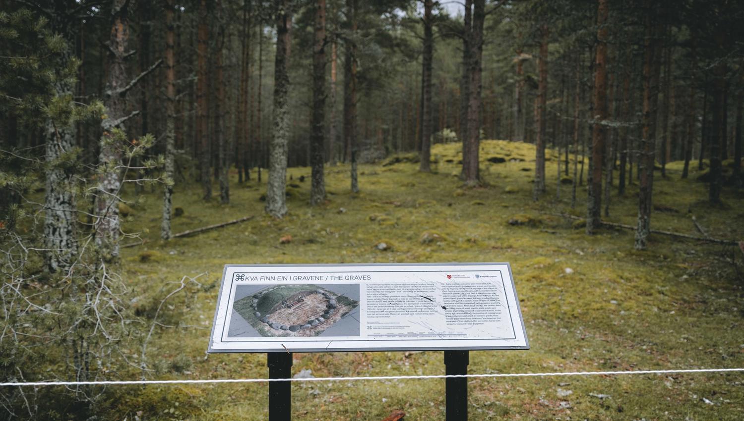 An information board in front of a viking grave.