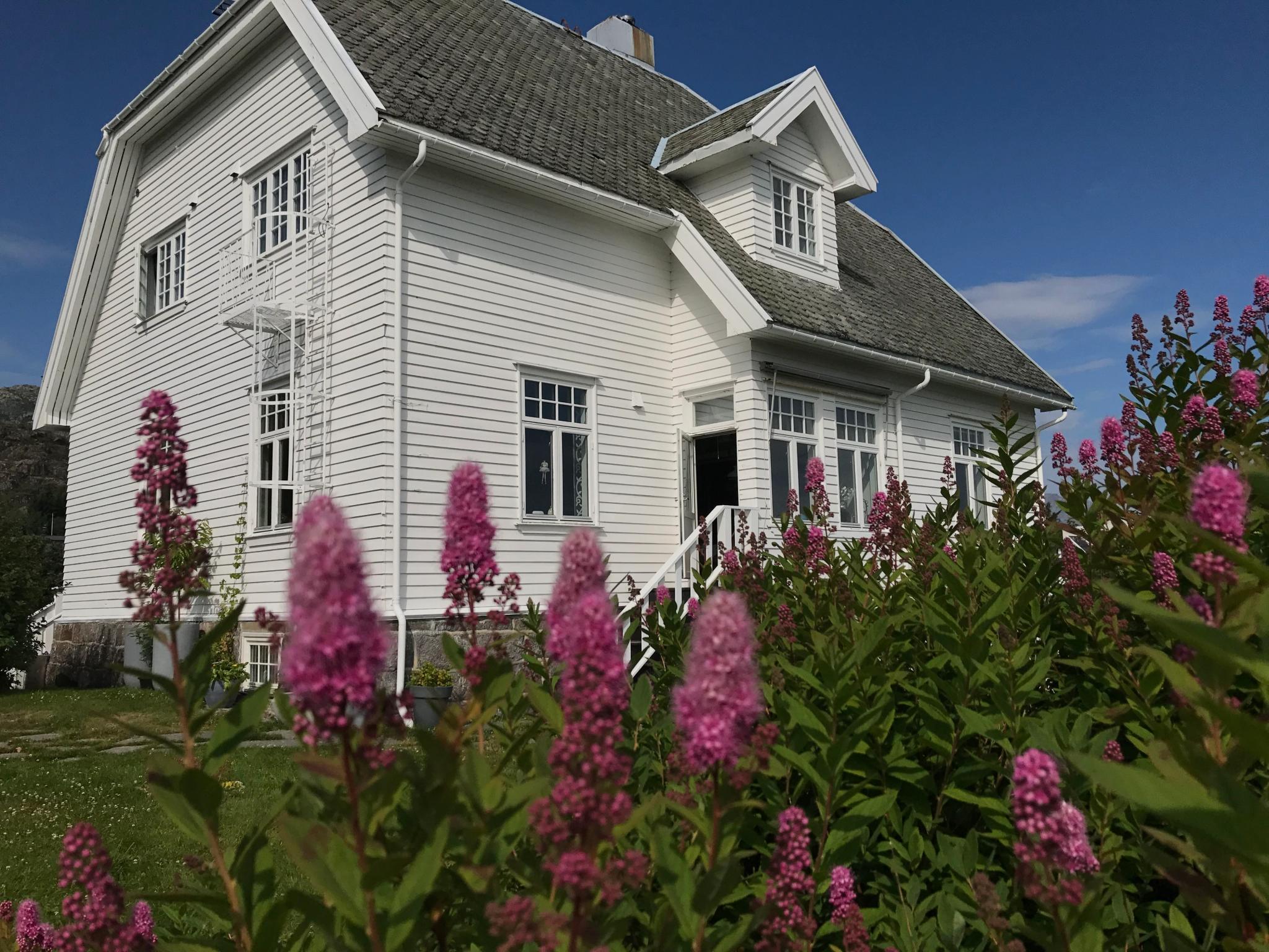 Arctic Garden
