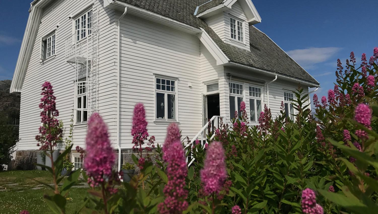 Arctic Garden