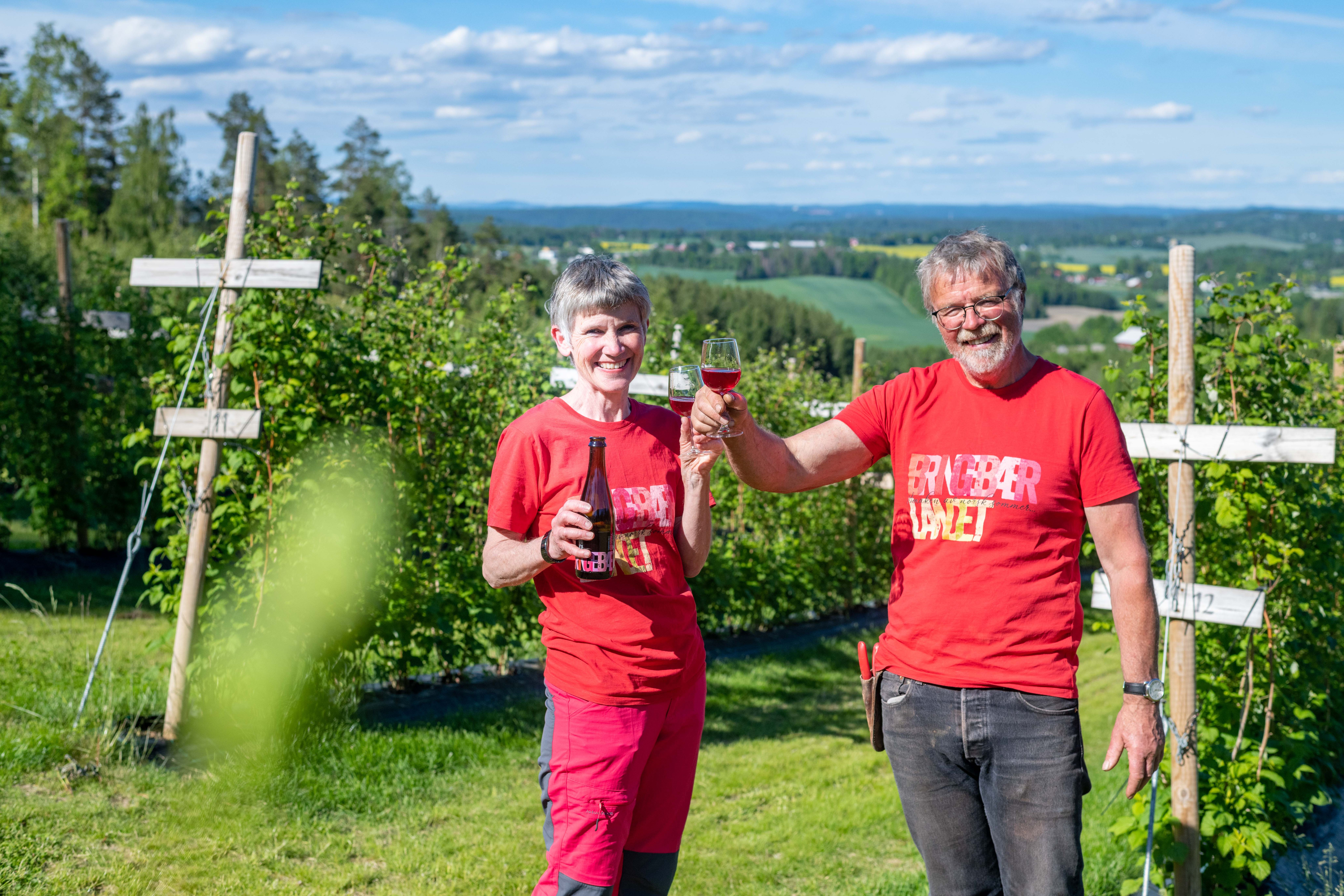 Bringebærlandet