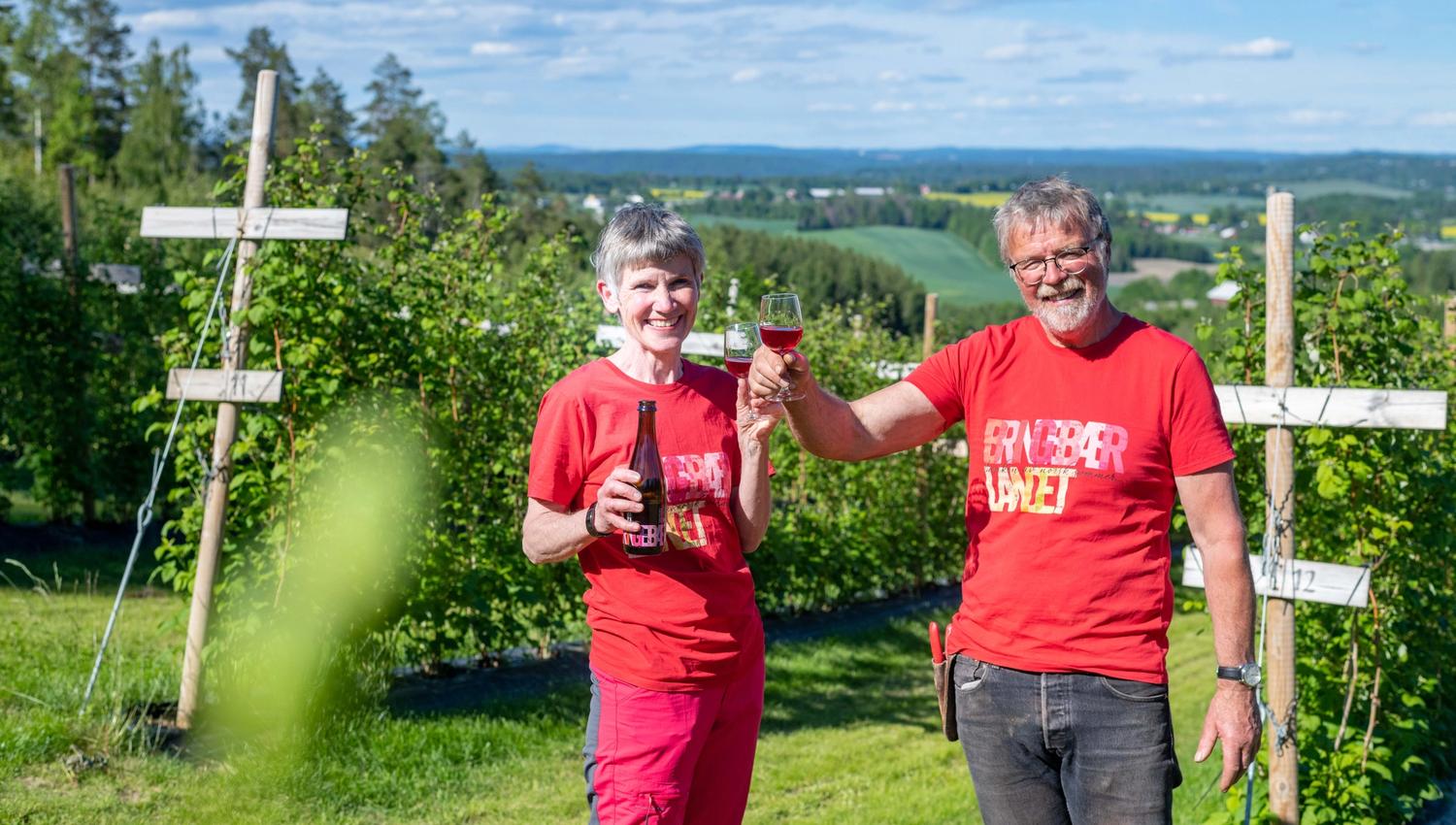 Bringebærlandet